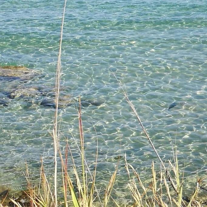 La Conchiglia Di Trentova Apartamento Agropoli Exterior foto